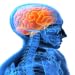Brain Age Test