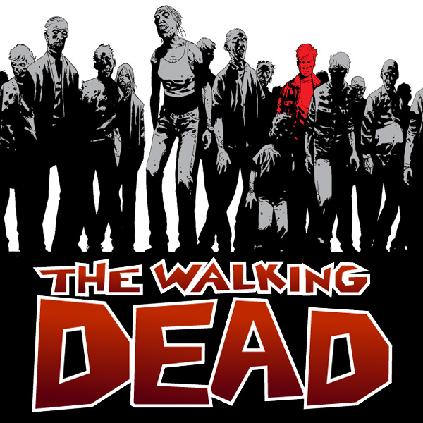 The Walking Dead (Issues) (48 Book Series)