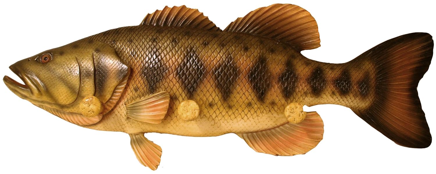 fish · Decorative Wall Hooks