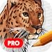 How to Draw Animals: Pro
