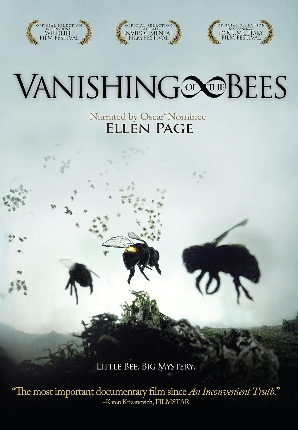 Vanishing of the Bees Cover Art