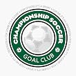 Championship Soccer Heavyweight Cotton Tee