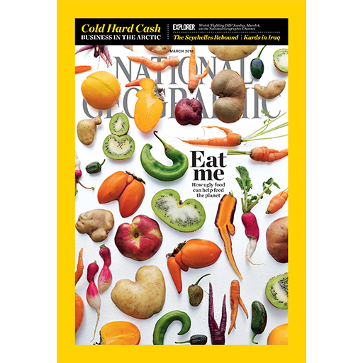 National Geographic Magazine International