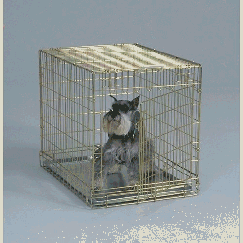 General Cage Medium Gold Wire Folding Dog Crate