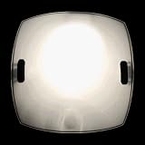 Contemporary Indoor Ceiling Lamp Light with Frost Glass, AZS-IN080314