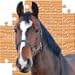 Puzzle Horses