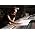 Vignette de Alexandre Desplat