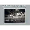 Clyde Butcher, Portfolio I: Florida Landscapes