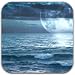 Moonlight Beach Live Wallpaper