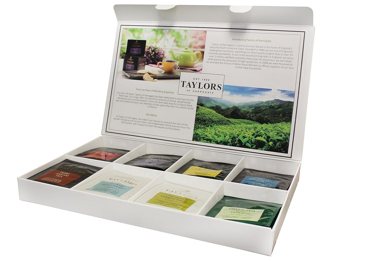 Taylors of Harrogate Classic Tea Variety Box, 48 Count