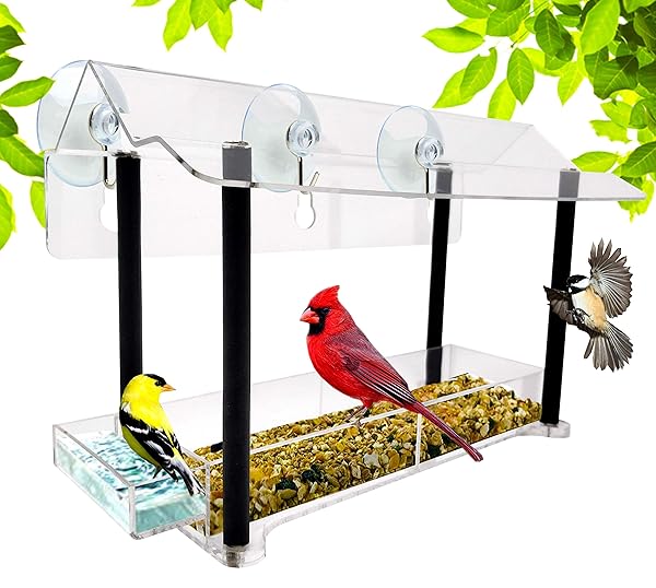 Nature Gear Pure View Hanging Window Bird Feeder Suspended