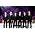 Thumbnail image of Celtic Thunder