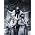 Vignette de Dimmu Borgir