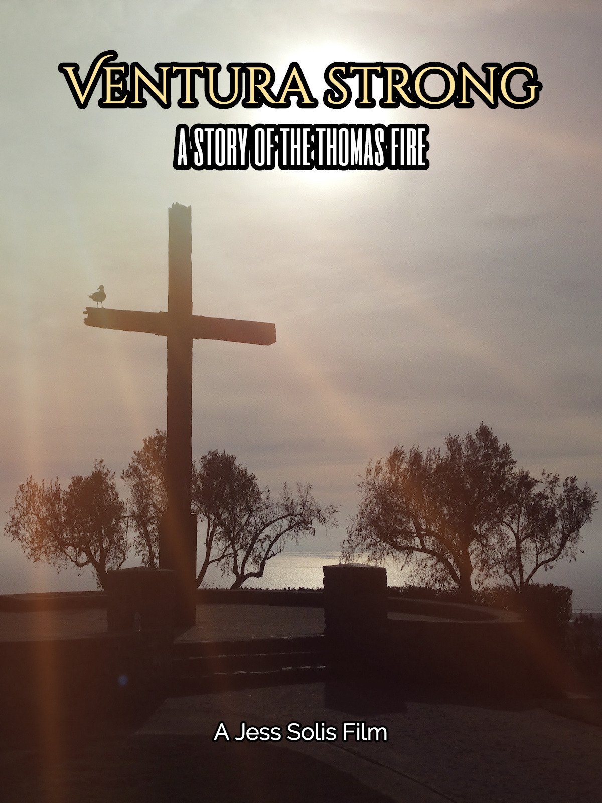 Search the Full Amazon Prime UK Catalogue NewOnAmzPrimeUK