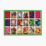 Beads & Jewelry Toys