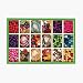Bead Bazaar Bead Box Kits and Alpha Bead Kit - My Big