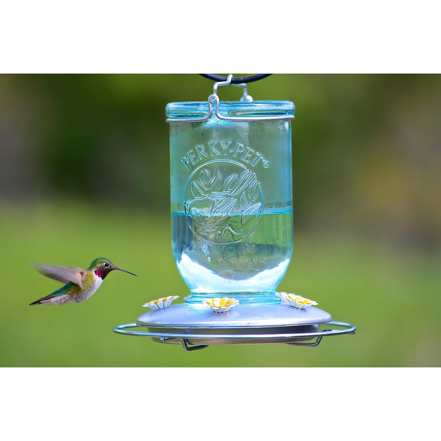 PerkyPet Mason Jar Hummingbird Feeder , New, Free Shipping eBay