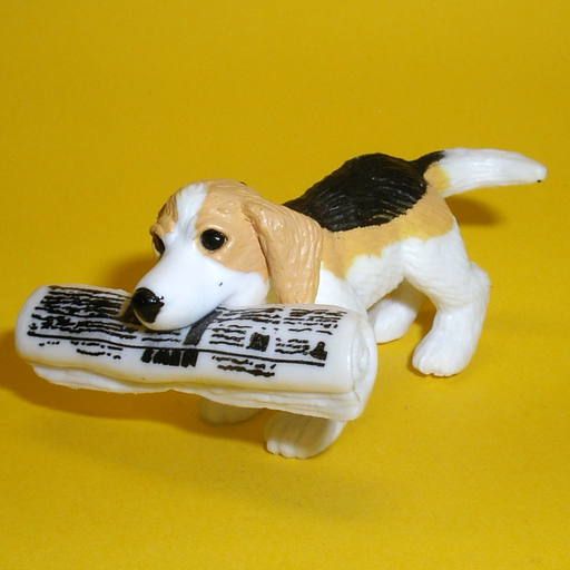 Model Puppy Dog Breeds Two