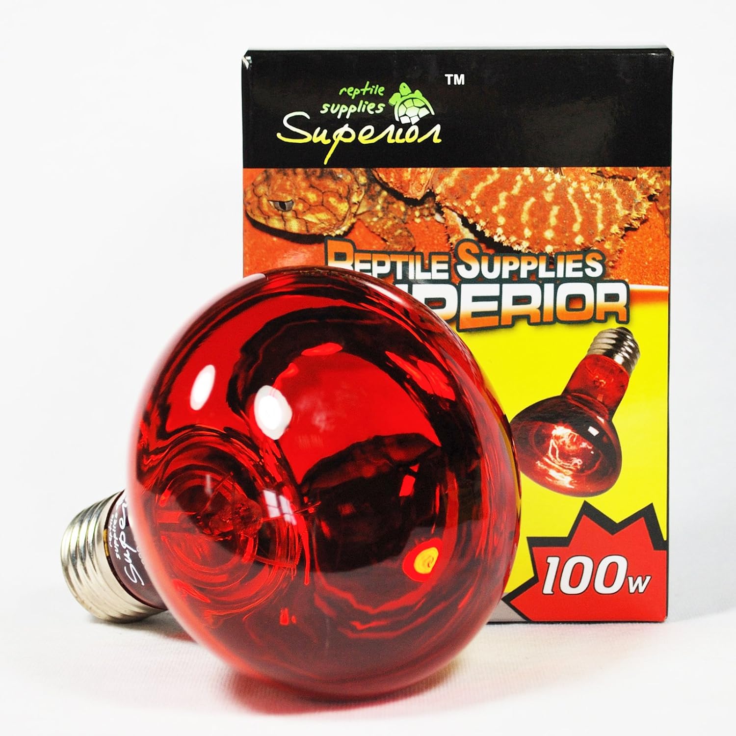 A Guide to Vivarium Heating Vivarium World