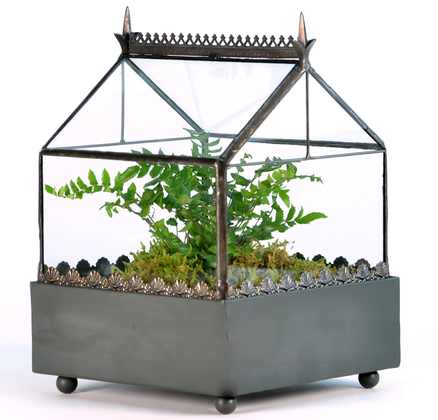 NEW Gothic Style Glass Terrarium, Metal Base Small Indoor Garden Plant