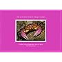 National Audubon Society Pocket Guide to Familiar Seashore Creatures (Audubon Society Pocketguides)