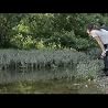 KT Tunstall - Making of "(Still A) Weirdo"