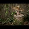 Artist Video
