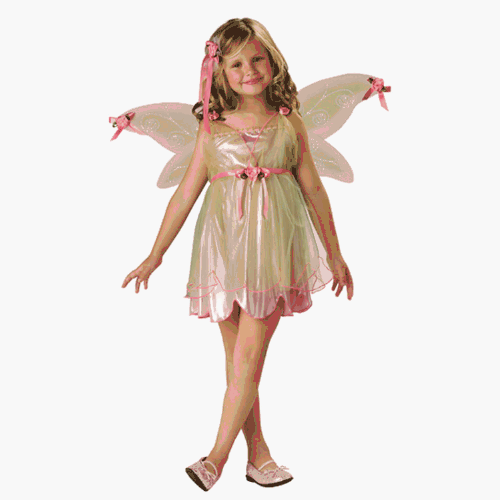 Costumes For All Occasions IC17012C6 Flower Fairy 2B Child 6