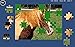 Puzzle Horses