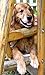 Cute Dogs Jigsaw Puzzles (Ads Free)