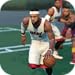 Basketball HD 16