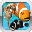 Fish Farm