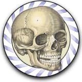 Speed Bones MD
