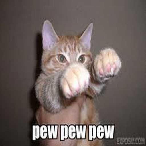 Funny Cats