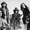 Image of Iron Butterfly