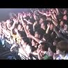 On Tour with The Pigeon Detectives
