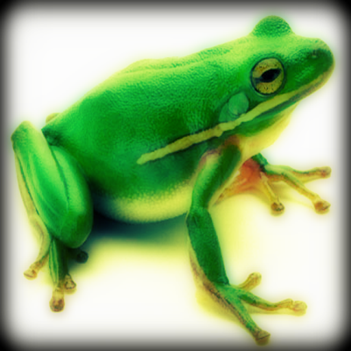 Image #1 of Frog - Amphibian Sounds