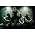 Miniaturansicht von Sunrise Avenue
