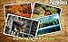 Forest Jigsaw Puzzles