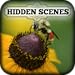 Hidden Scenes - My Little Bees