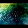 Symbion Project ~ "Exploited & Exposed"