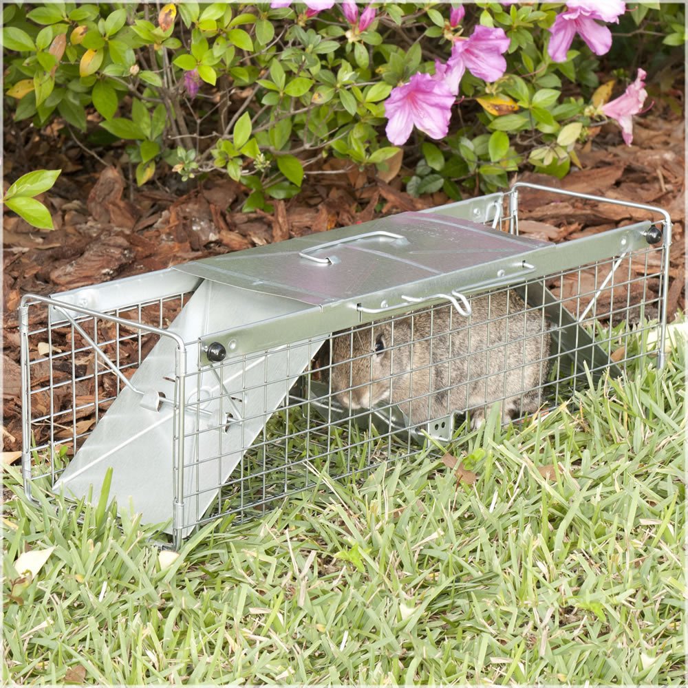 Havahart 1030 Live Animal TwoDoor Rabbit, Squirrel, Skunk, and Mink Cage Trap
