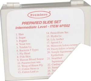 Microscope Prepared Slide Set - 25 Slides - Intermediate Level