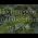 Video von Claudia Rossbacher