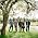 Vignette de The Decemberists