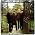 Thumbnail image of Beady Eye
