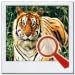 Find it Animal: Find the Difference Find it Animal: Find the Difference