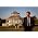 Thumbnail image of Hugh Laurie
