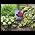 Video of Claire Cook