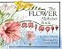 The Flower Alphabet Book (Jerry Pallotta's Alphabet Books)